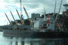 Porto de Leixões - Descarga de navio